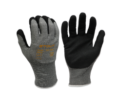 The Iguana | MNT-0608