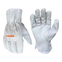 The Pioneer | WNT-0912