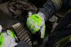 Image of PNTO-0812